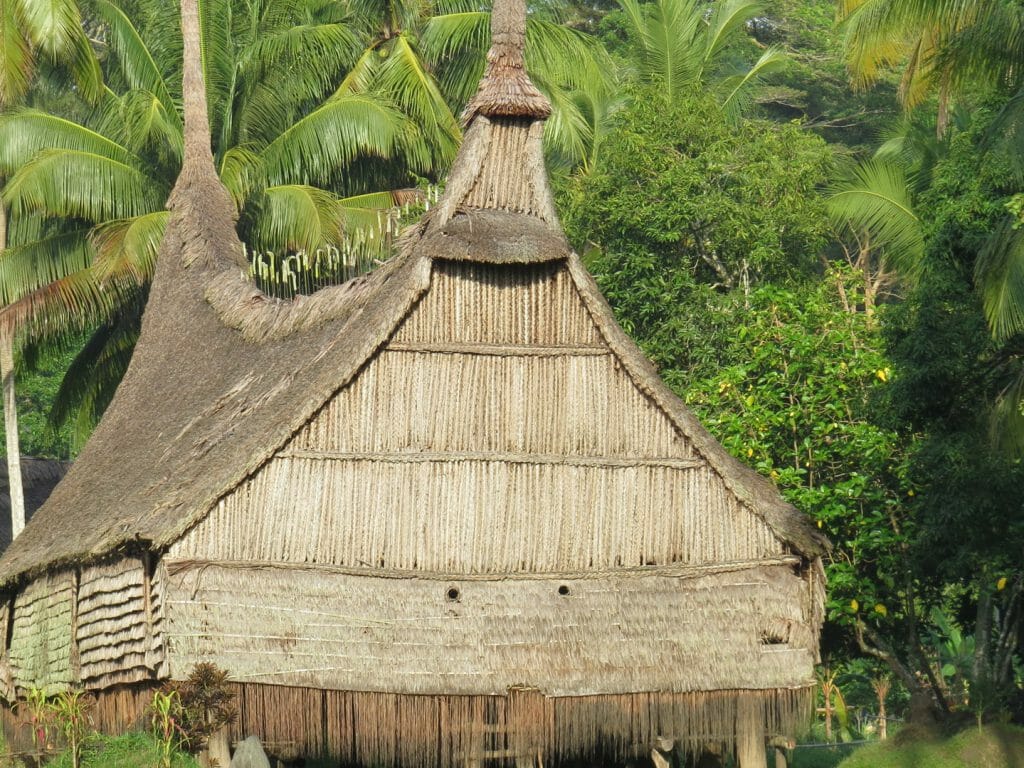 Haus Tambaran, Sepik River, Papua New Guinea