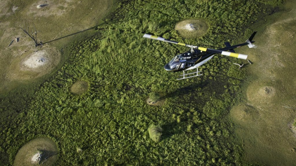 Helicopter safari, Botswana Safari, Helicopter Horizon