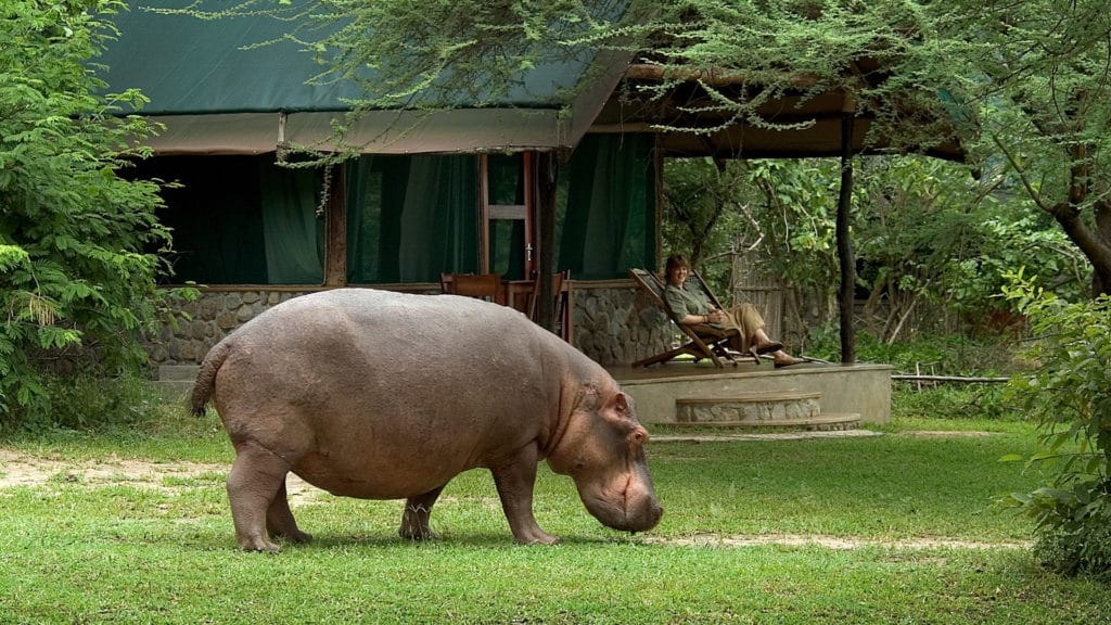 Mvuu Lodge, Rivonia 2128, Johannesburg, Malawi