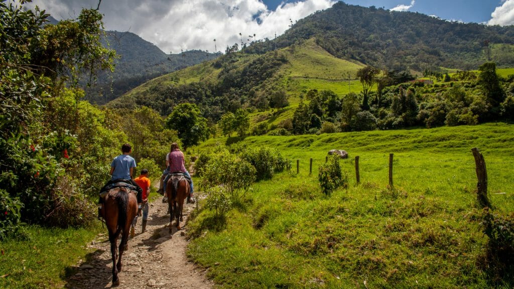 Horse Riding, Cocora Valley, Colombia