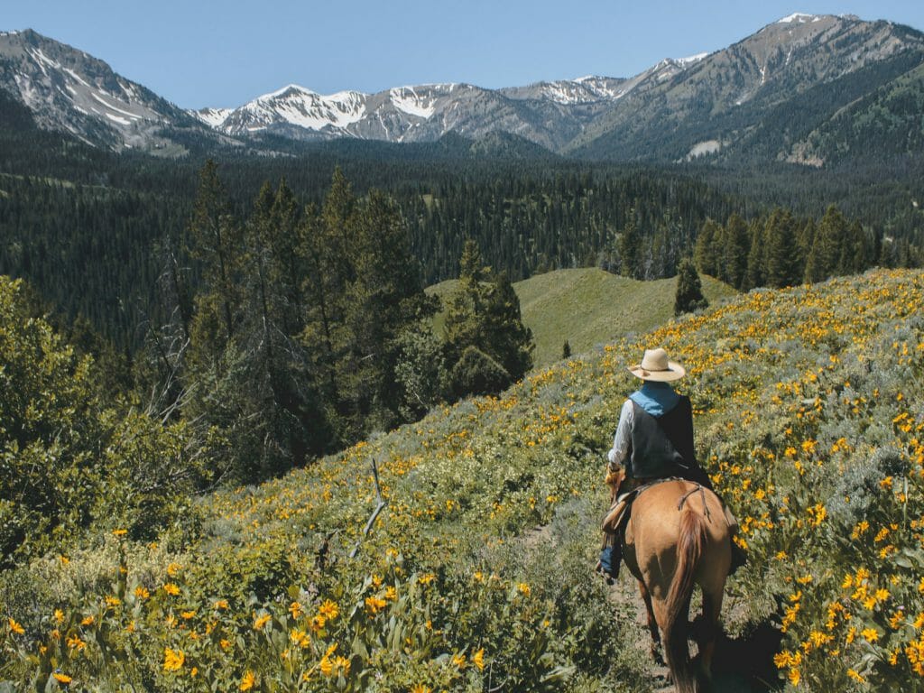 Guided Horse Riding, Grand Teton National Park, Wyoming, USA