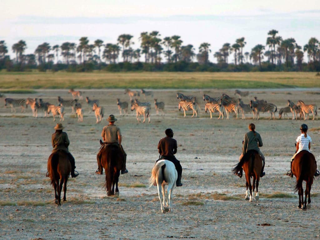Horse Riding, Jack's Camp, Makgadikgadi, Botswana
