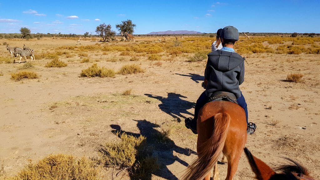 Horse riding, Namibia