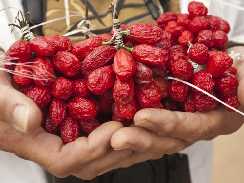 Handful of red peppers, Malawi
