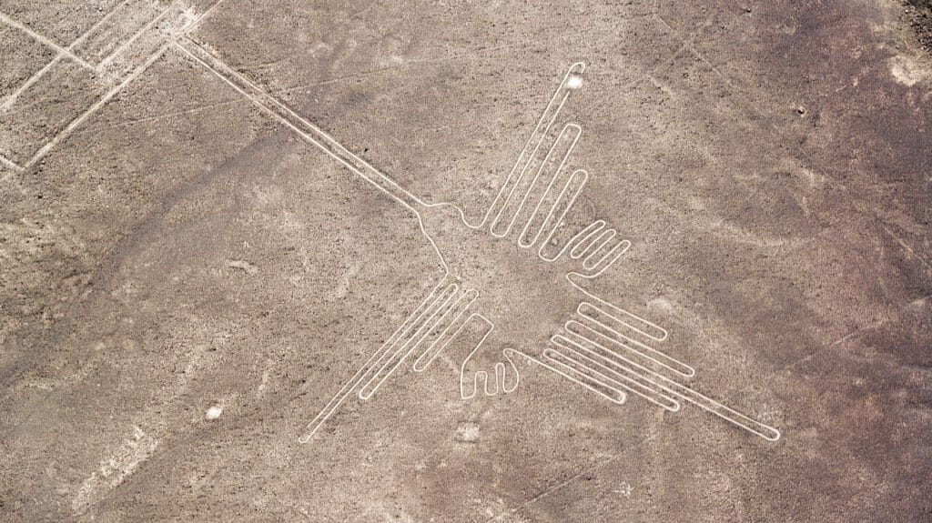 Hummingbird, Nazca Lines, Peru