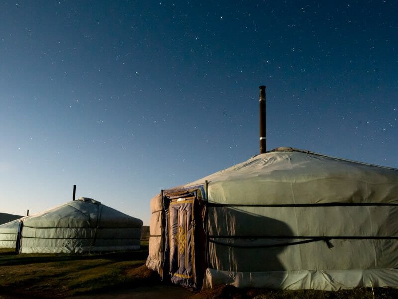 Hustai National Park, Mongolia