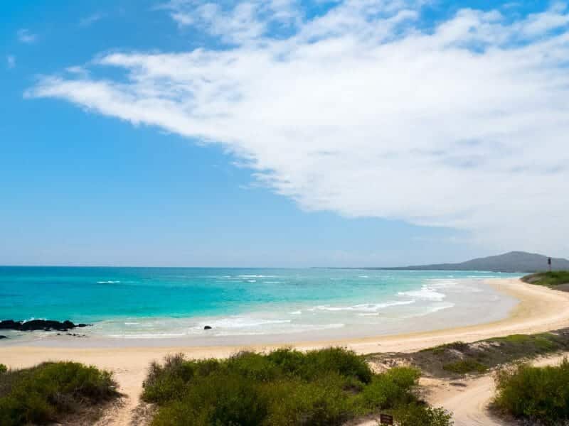 Isabela Island, Galapagos Islands