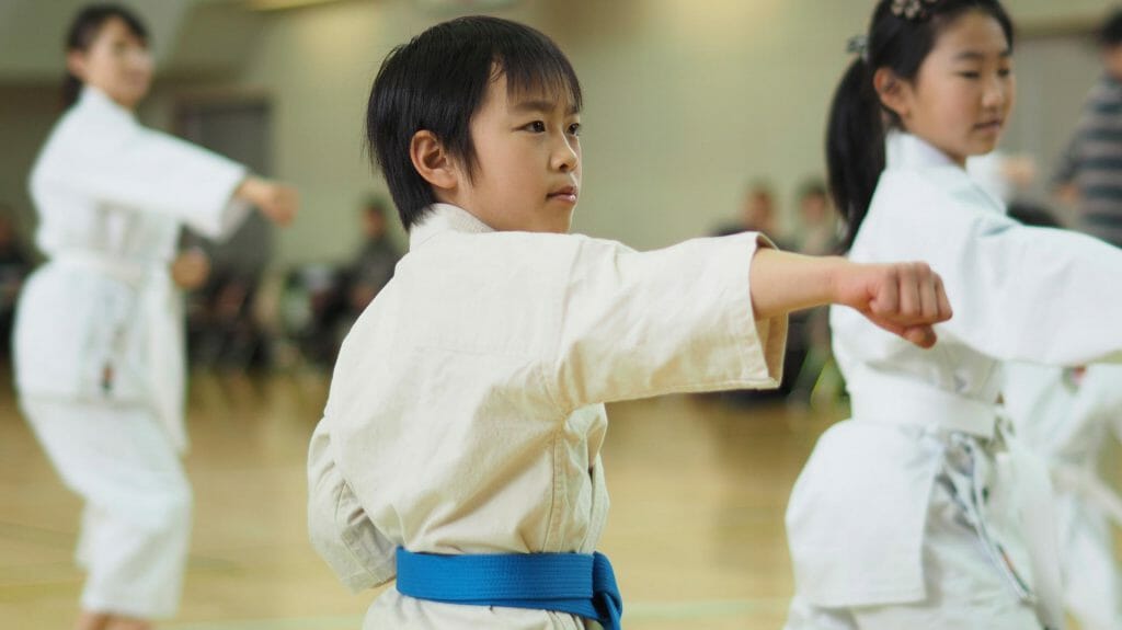 Karate Lesson, Japan