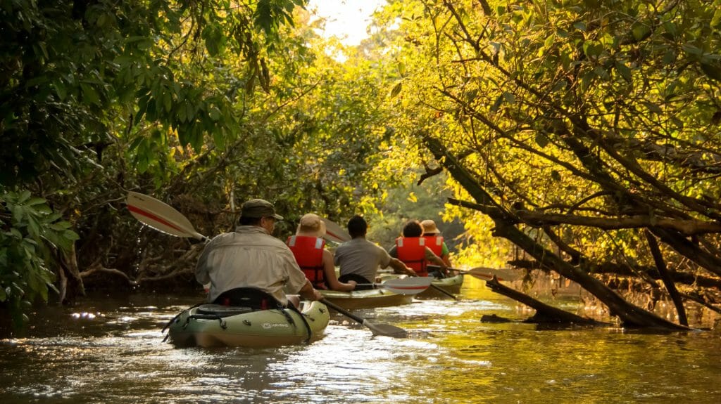 Kayaking, Anakonda, Amazon Ecuador