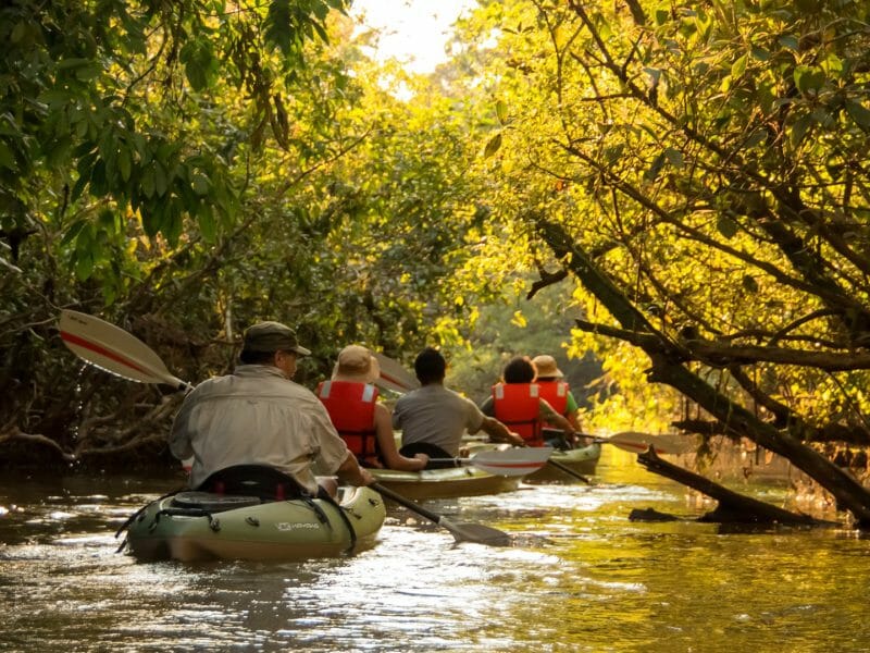 Kayaking, Anakonda, Amazon Ecuador