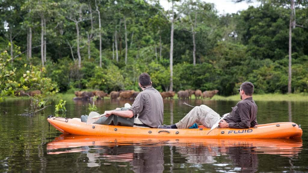 Odzala National Park, Republic of Congo