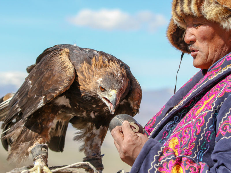 Kazakh eagle hunter, Hukh Serkhiin Nuruu National Park, Altai Mountains, Mongolia