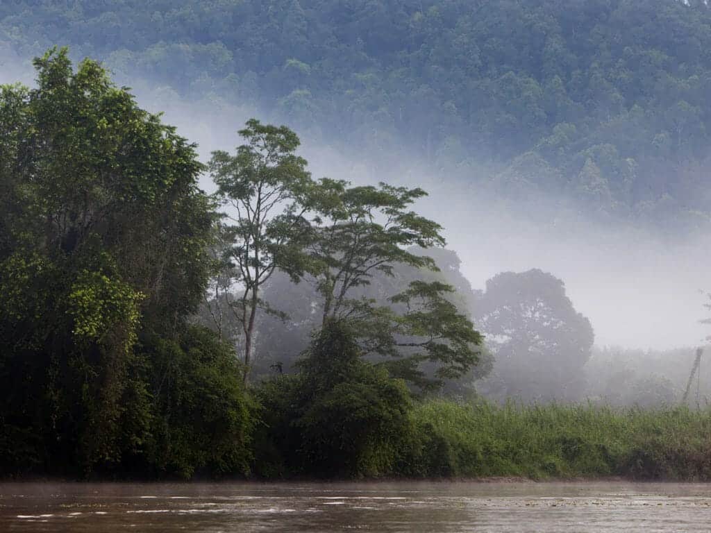 Kinabatangan River, Malaysia