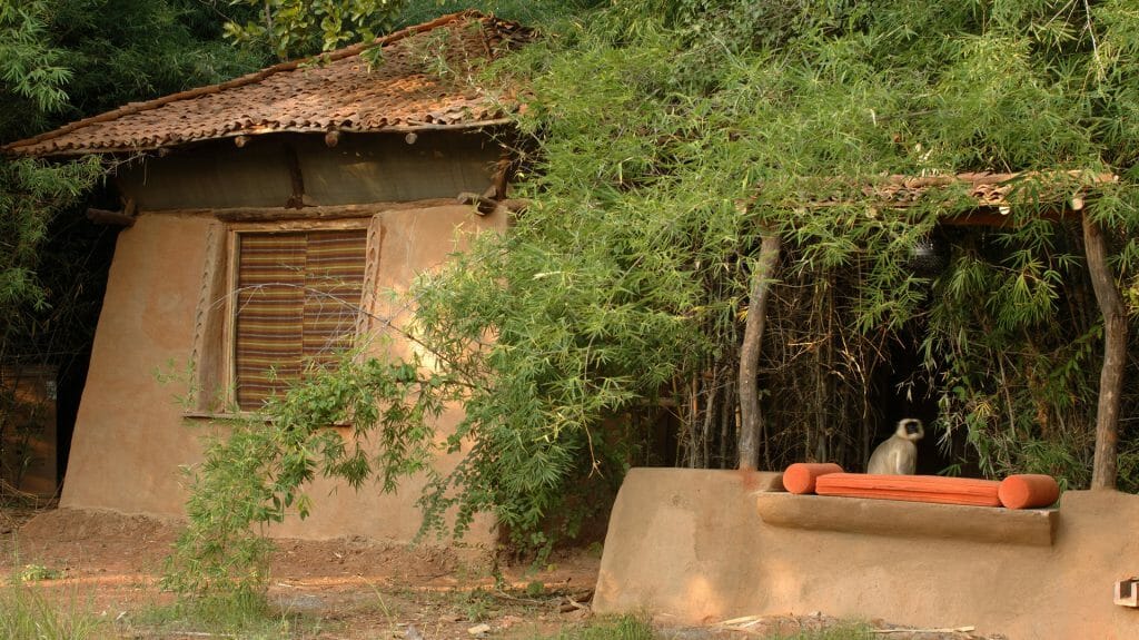 Taj Mahua Kothi, Bandhavgarh National Park, India