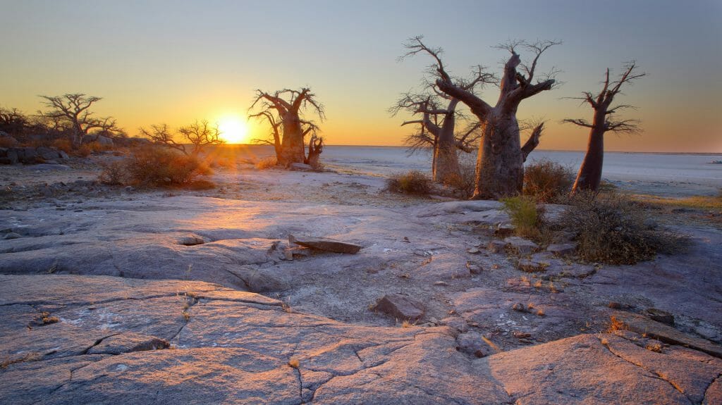 Kubu Island, Makgadikgadi Pans, Botswana