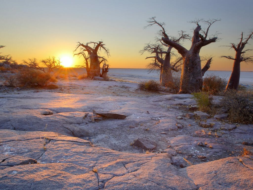 Kubu Island, Makgadikgadi Pans, Botswana