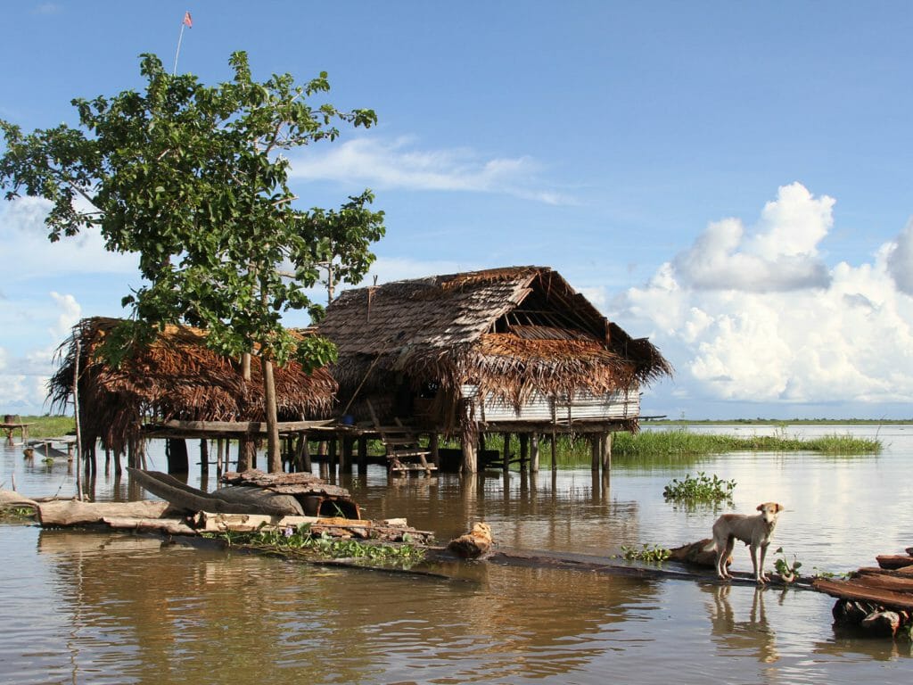 Kumbarumba village, Sepik River, Papua New Guinea