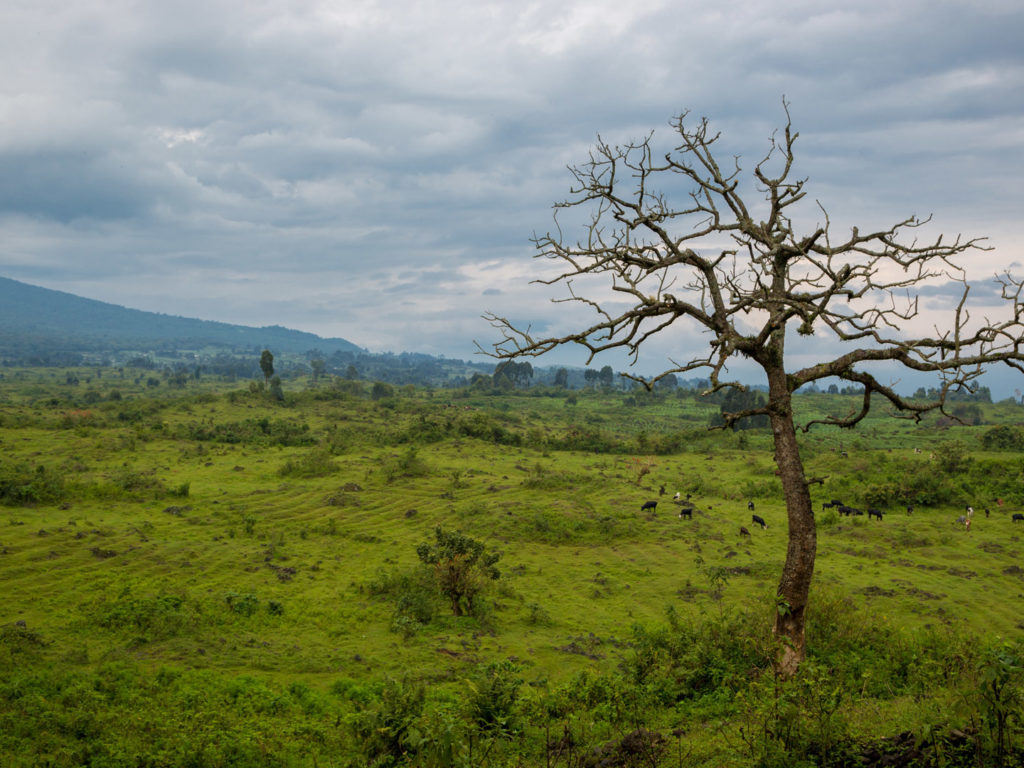 Landscape of Virunga National Park, Democratic Republic of Congo