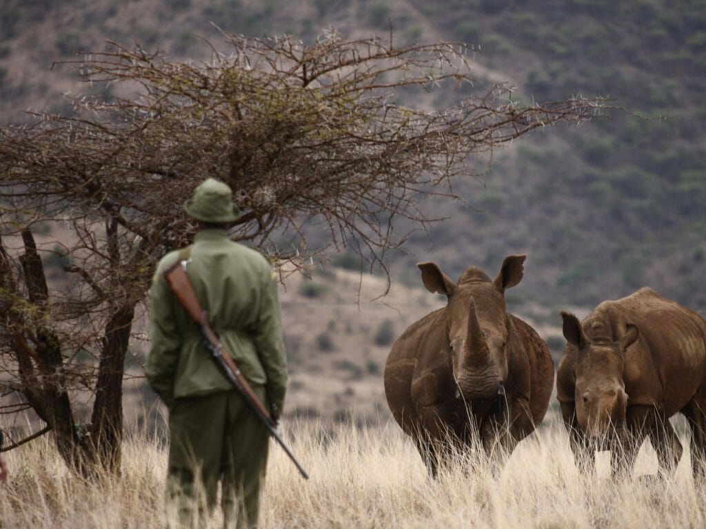 Lewa Safari Camp, Bush Walk, Rhino, Kenya