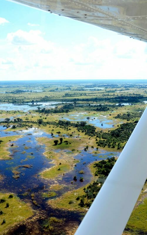 Light aircraft, Okavango Delta, Botswana