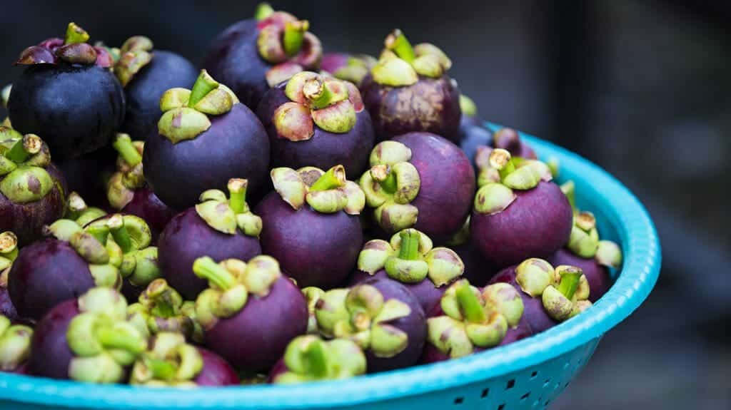 Mangosteen Thailand