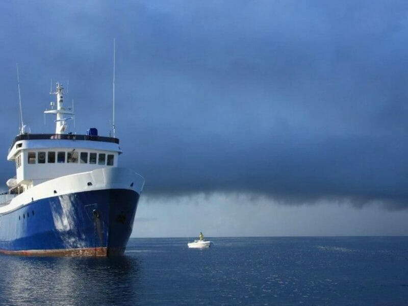 MV Maya's Dugong, Seychelles