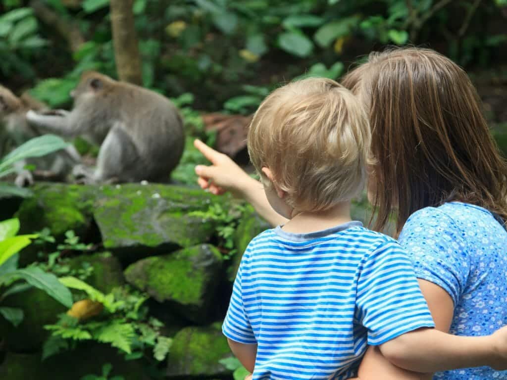 Mother and child, monkey, Bali, Indoneisa