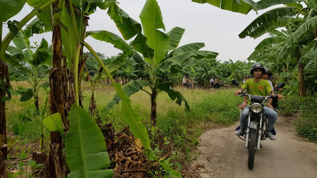 Russian Minsk motorbike driving through rural countryside.