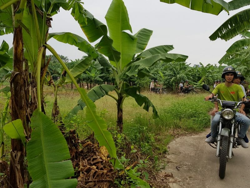 Russian Minsk motorbike driving through rural countryside.