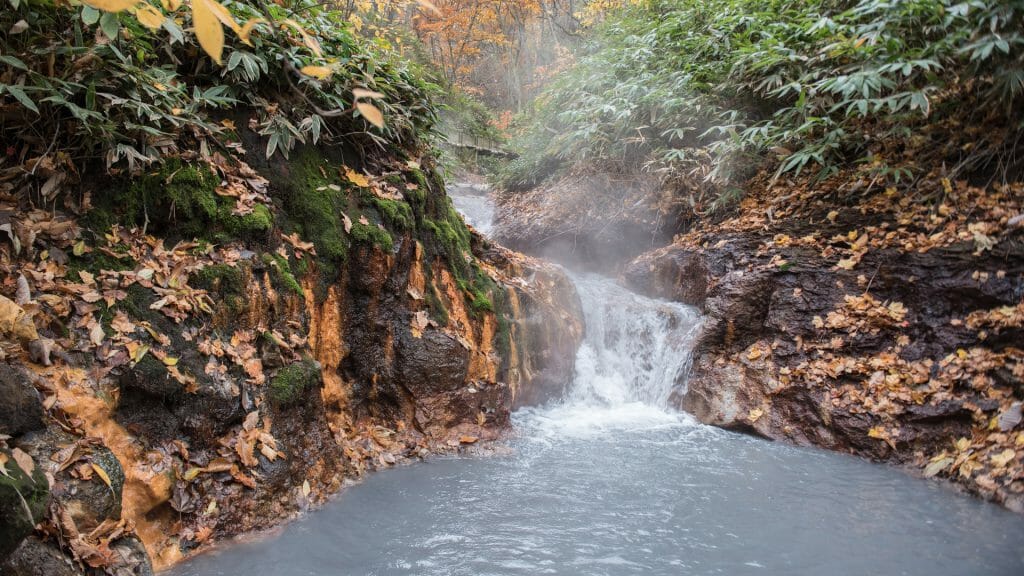 Steaming waterfall cascading into a natural hot spring surrounded by woodland.