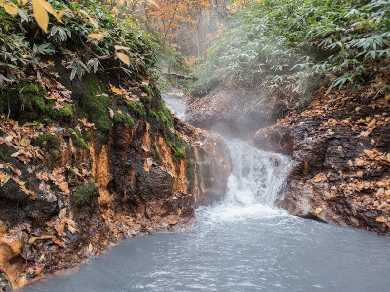 Steaming waterfall cascading into a natural hot spring surrounded by woodland.