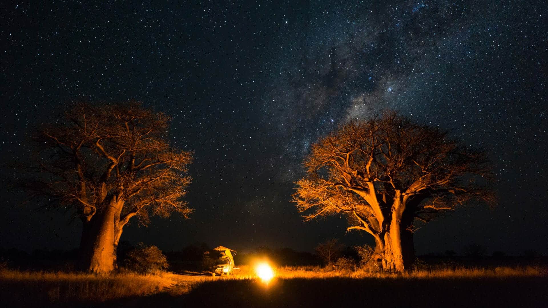 Kalahari Desert Holidays In Botswana With Steppes Travel