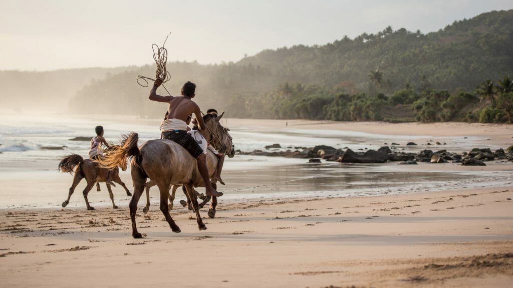 Nihiwatu Horses on beach