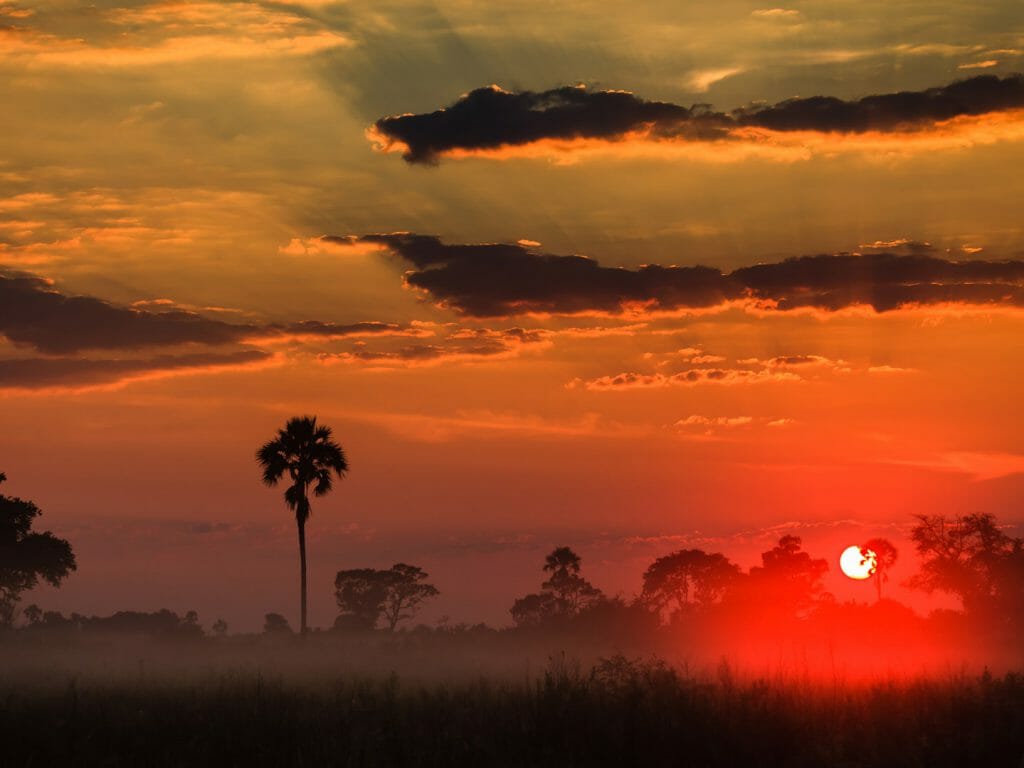 Orange sunrise layers clouds above misty delta grasslands, Okavango Delta, Botswana