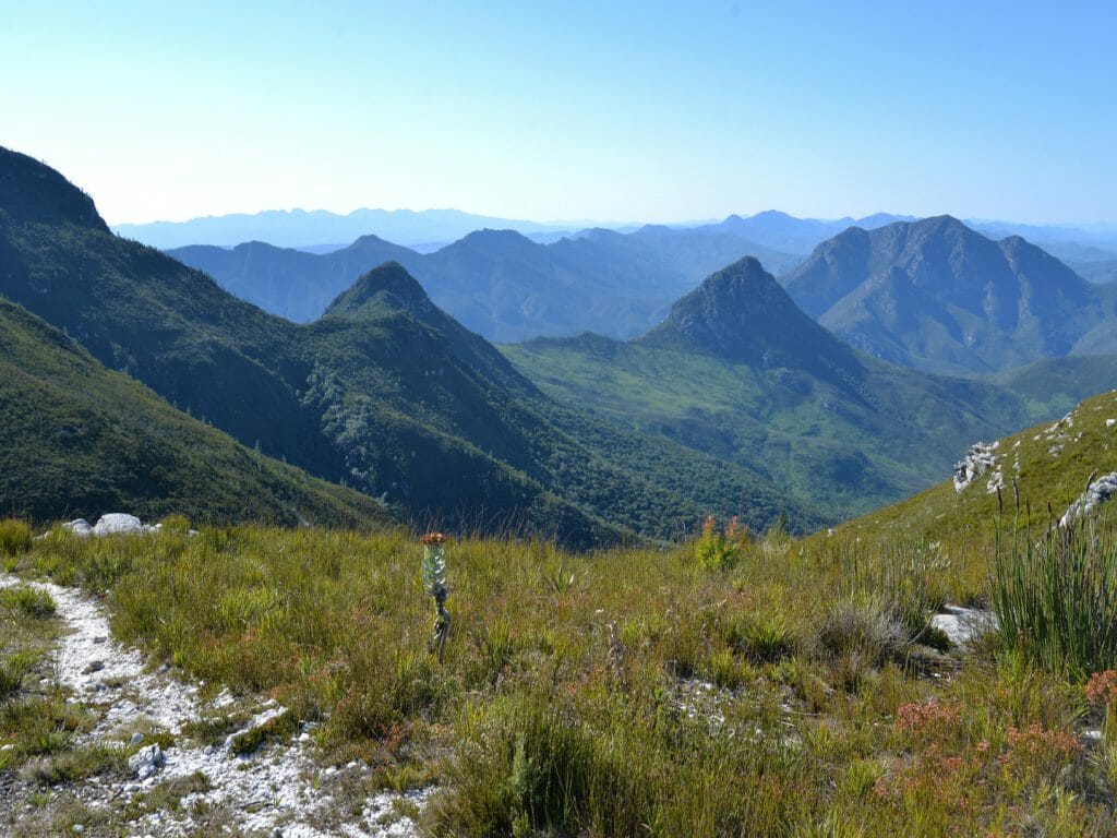 Outeniqua Mountains, South Africa