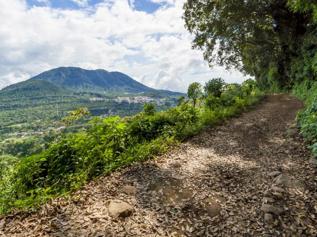 Pathway in the Forest, El Salvador