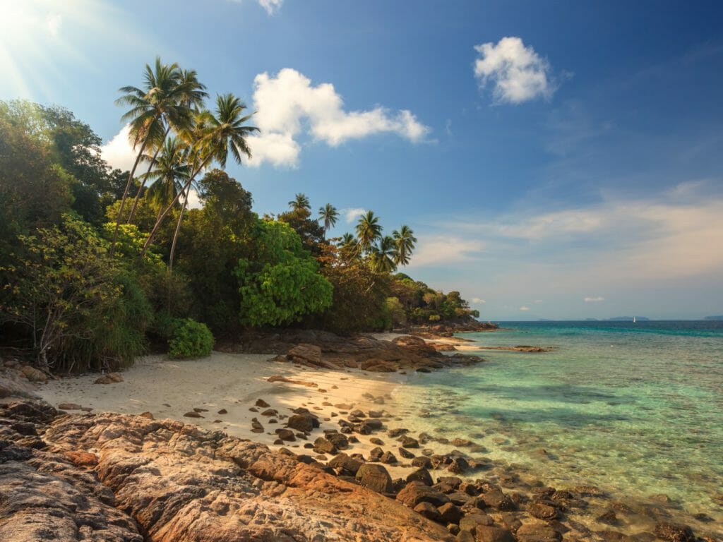 Beach backed by rainforest with turquoise ocean and sun glare on camera.