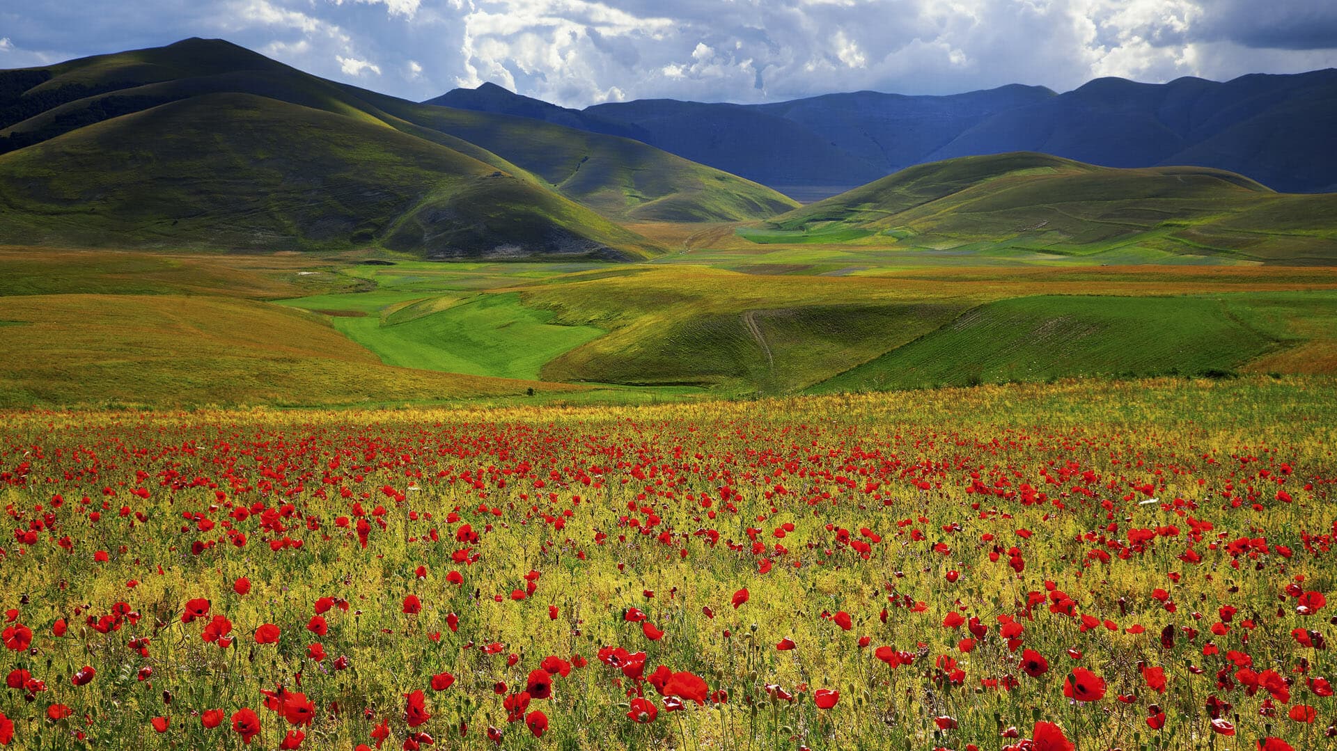 Umbria holidays Italy Europe Steppes travel