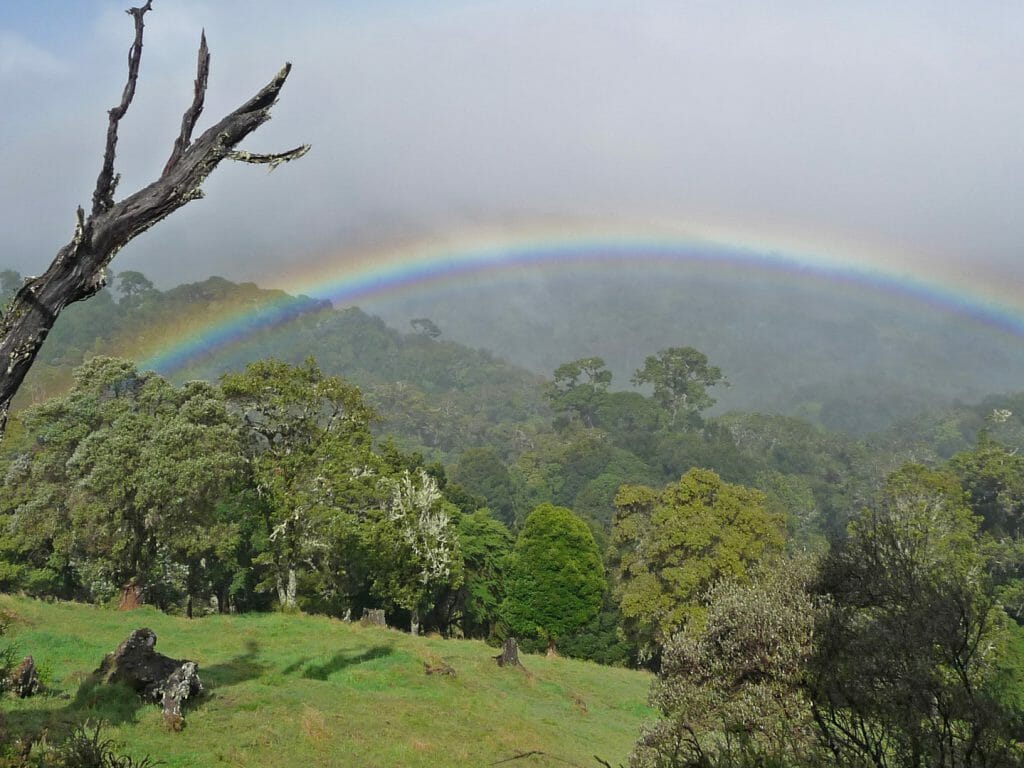 Rainbow View, San Gerardo de Dota, Costa Rica