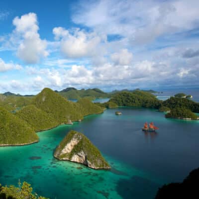 Raja Ampat, Tiger Blue, Indonesia