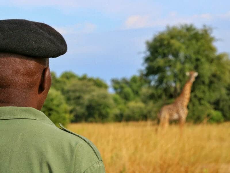 Walking safari, South Luangwa, Zambia