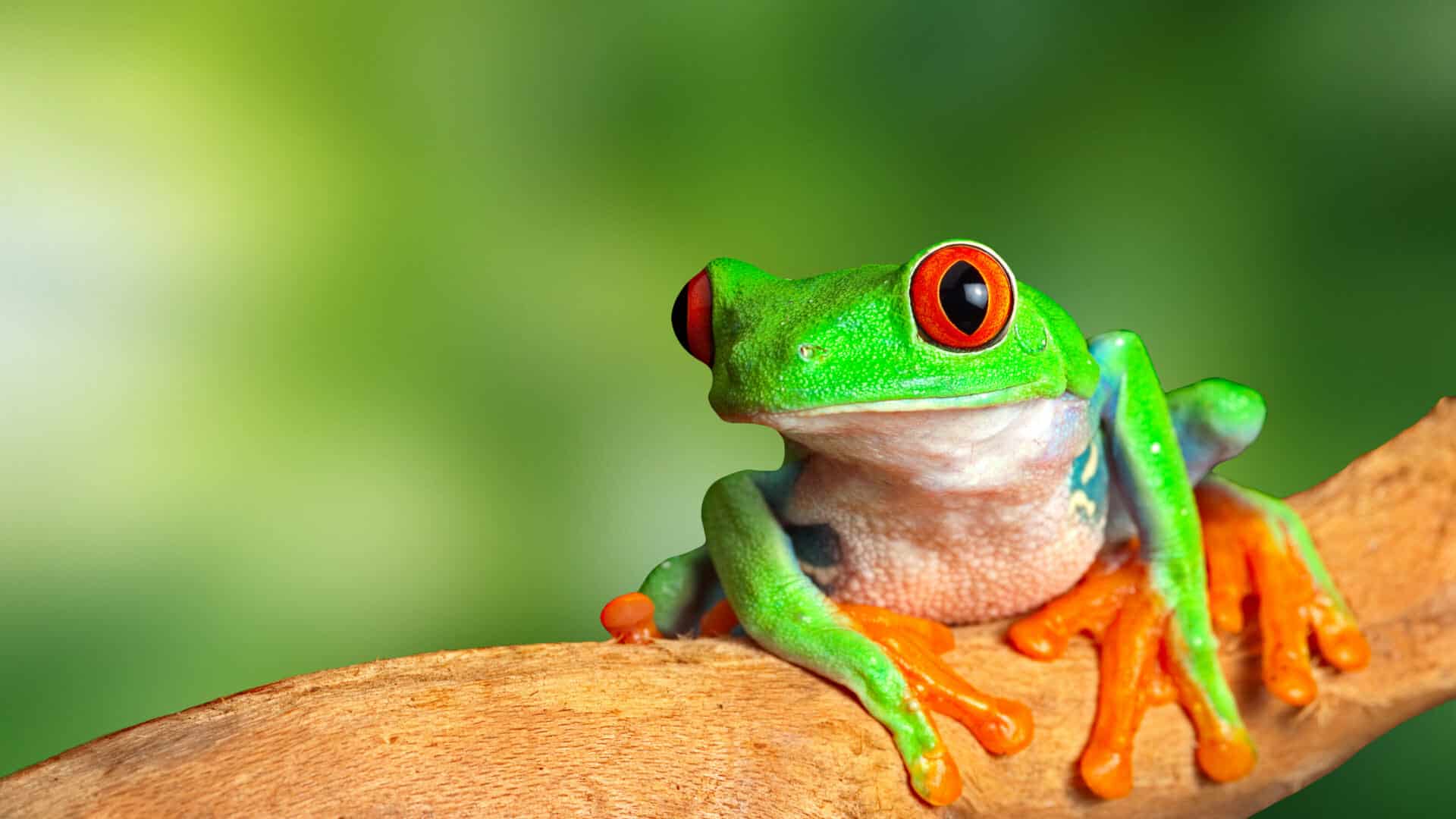 The Best Time to Visit Costa Rica | When to go - Steppes Travel