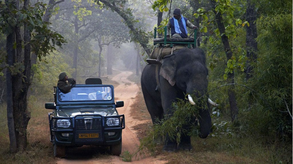 Samode Safari Lodge, Bandhavgarh National Park, India