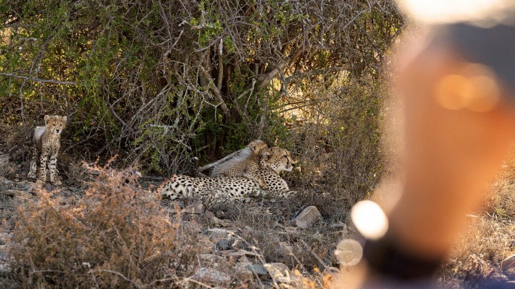 Samara Karoo Lodge, South Africa