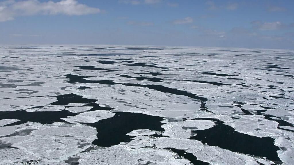 Sea ice