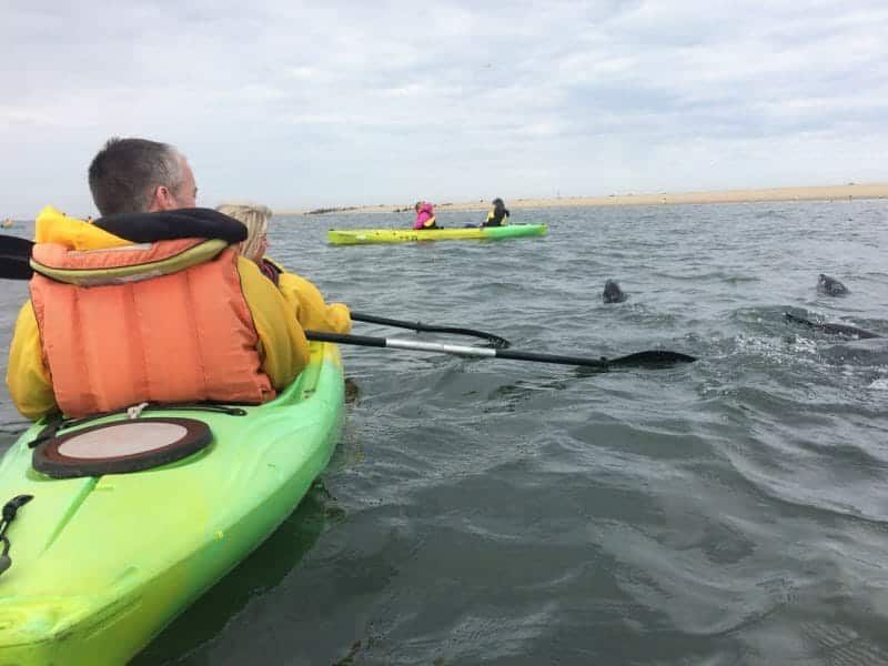 Seal Kayaking, Swakopmund, Namibia