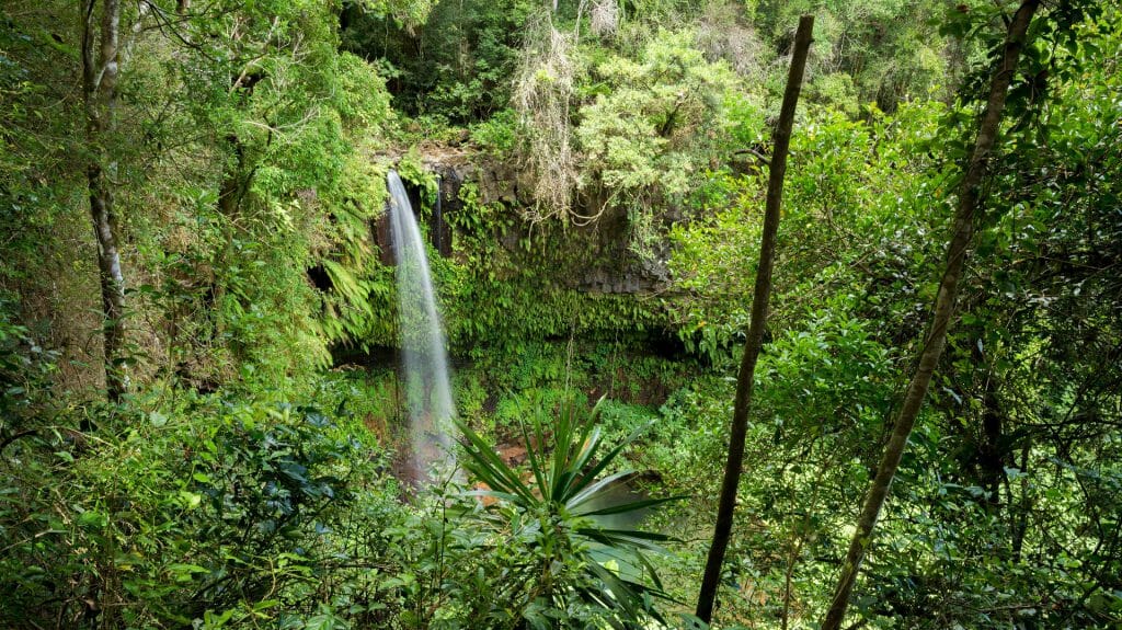 Small waterfall, Amber Mountains, Madagascar