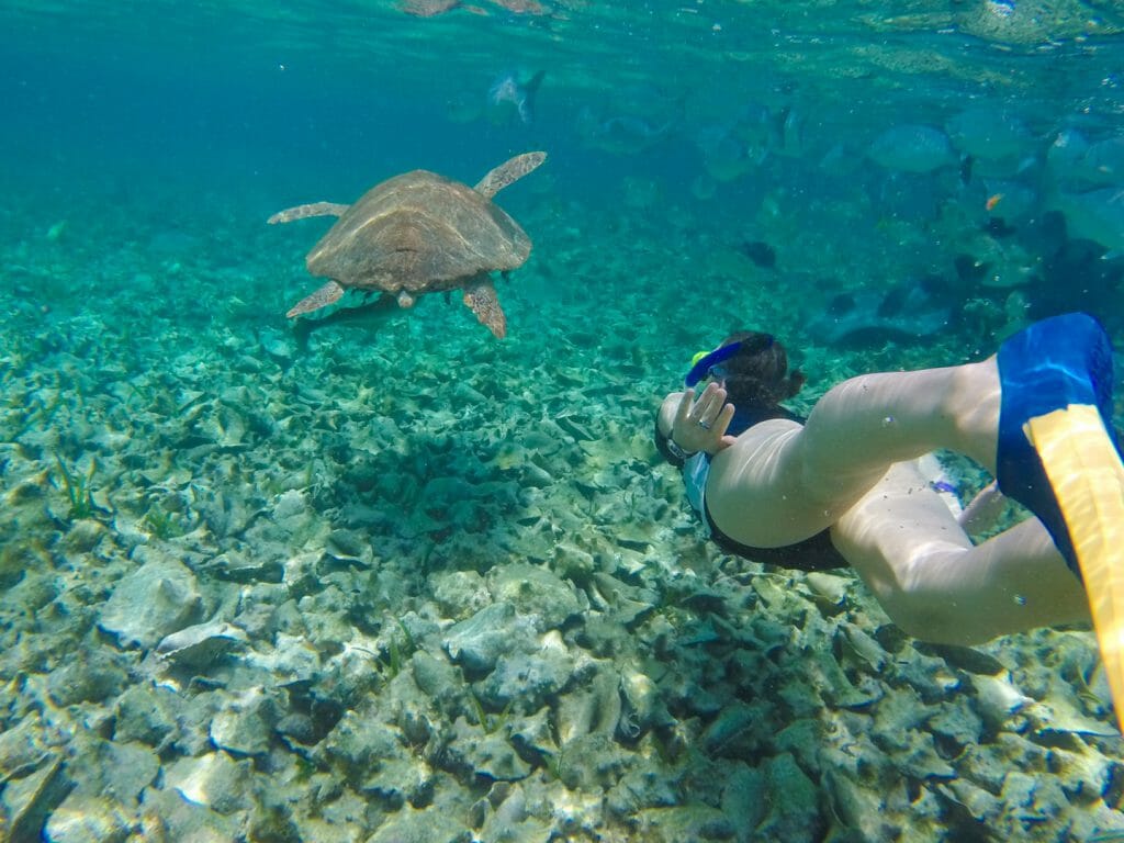 Snorkeling, Belize Cayes, Belize