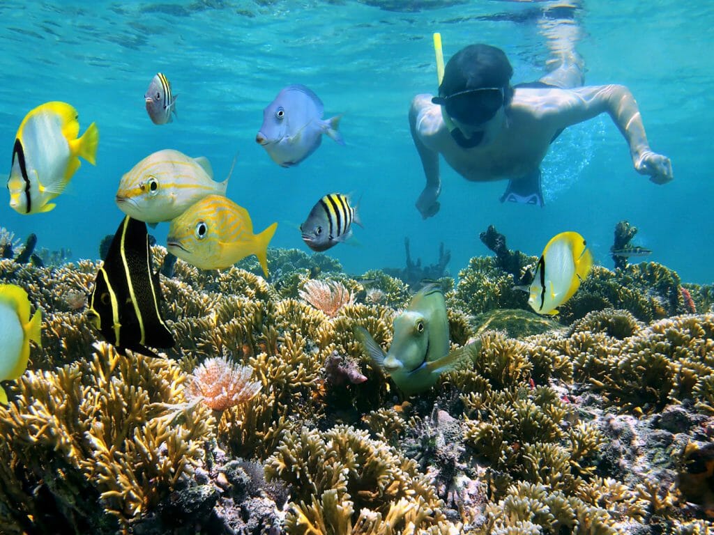 Highlights of Costa Rica Suggested Itinerary Steppes Travel