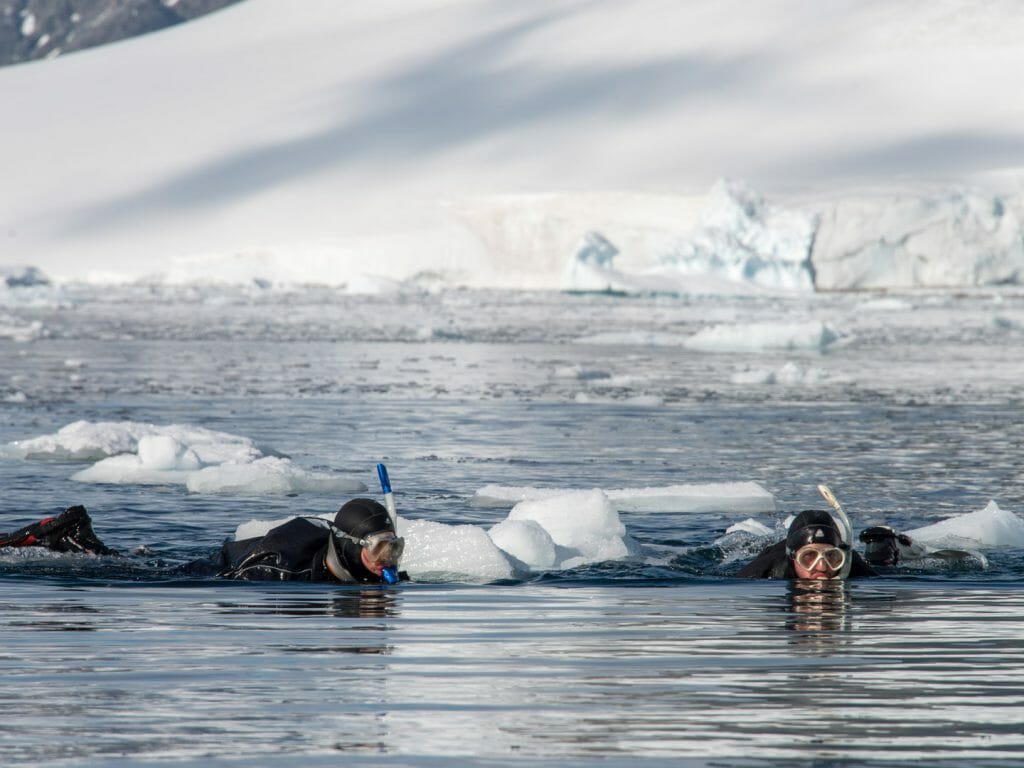 Snorkelling, Polar Pioneer, Antarctic Peninsula